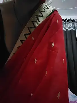 Sapnacpl69 webcam show