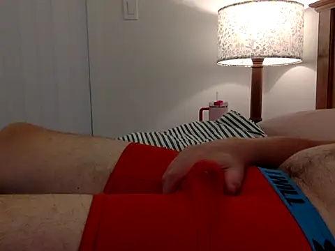 AndysBigOne's Webcam Show