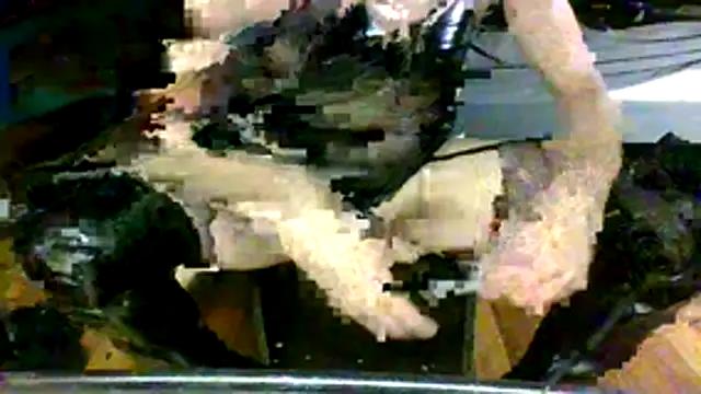kinkycdslutsv webcam show