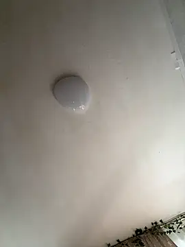 AmmyRich1's Live Chat Room