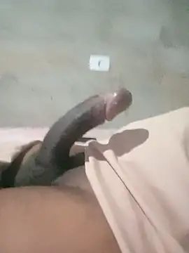 phsmirt Webcam-Show