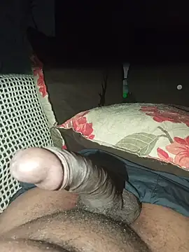 Show webcam de phsmirt