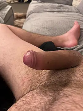 22TT2295 Webcam-Show