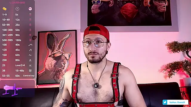 Nathan_riversn Webbikameraesitys