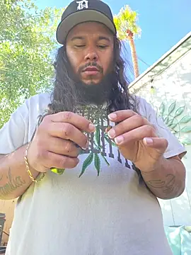 weedhead: διαδικτυακό σόου στην κάμερα