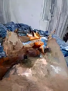 merty2233n Webbikameraesitys