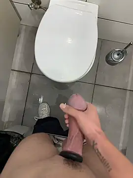 הופעת וובקאם של Turkishleo