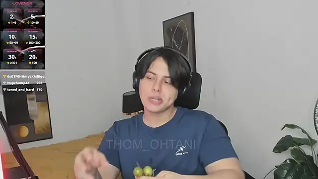 Thom_Ohtaniのウェブカメラショー