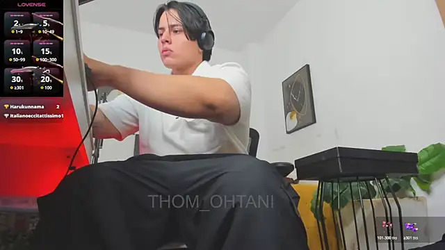 Thom_Ohtaniのウェブカメラショー