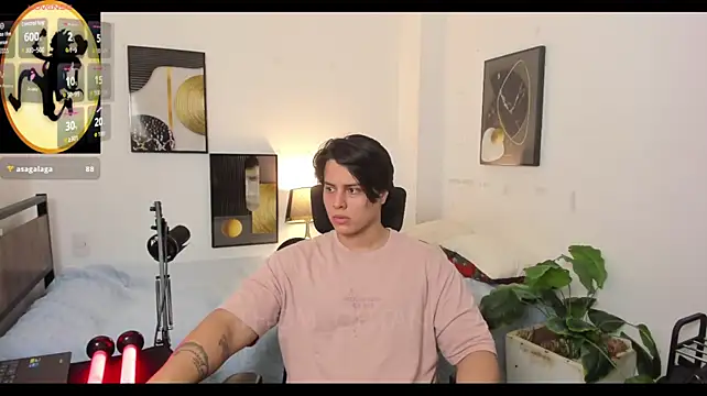 Thom_Ohtanin Webbikameraesitys