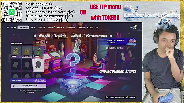 โชว์เว็บแคมของ lovemirgaming
