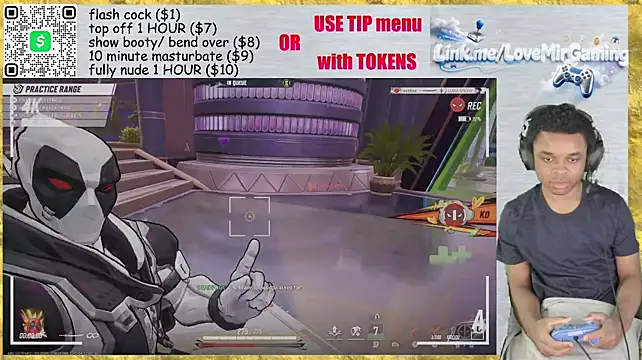 Show Webcam de lovemirgaming