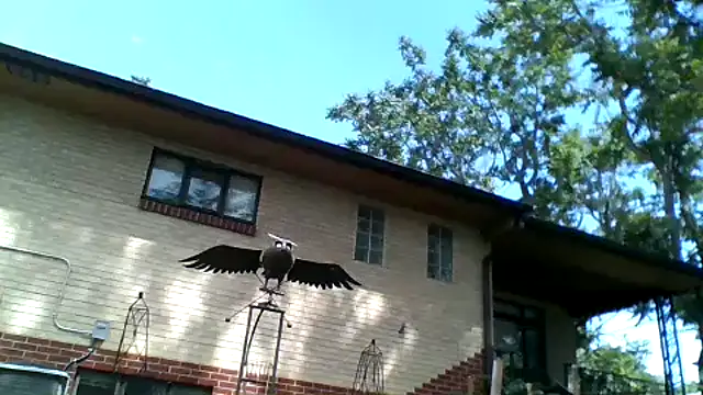 Coloradod5380 Webcam-Show