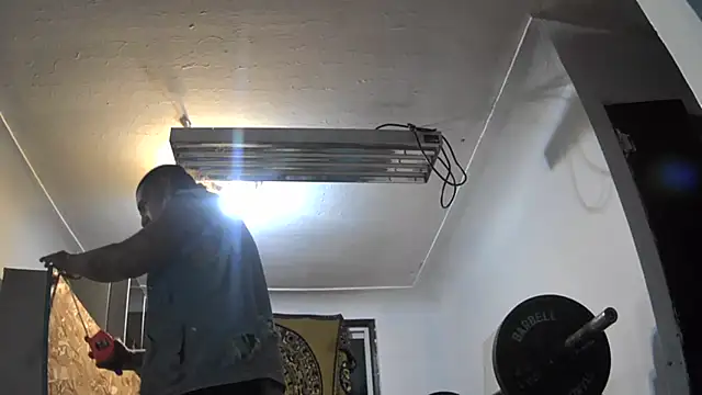 Coloradod5380 – webcam-show