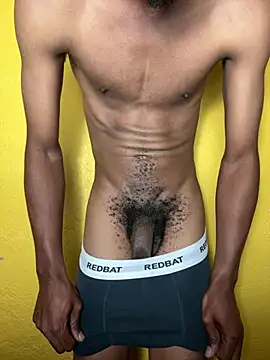 Show webcam de triplebeast