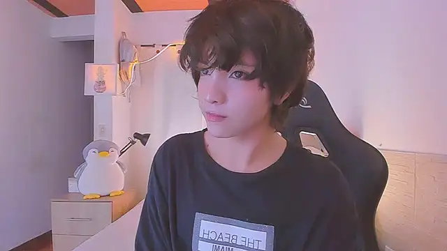 Sweet_Allanのウェブカ メラショー