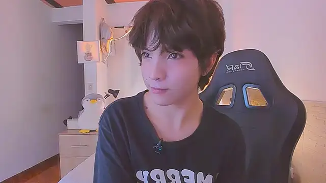 Sweet_Allanのウェブカメラショー