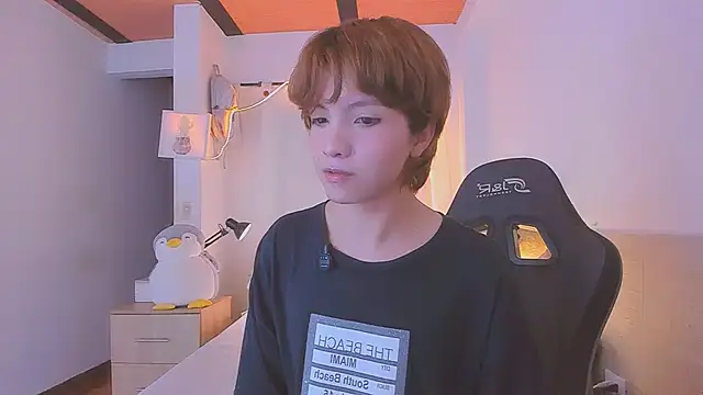 Sweet_Allanのウェブカメラショー