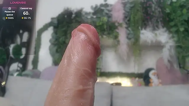 Show de webcam de scyrim2