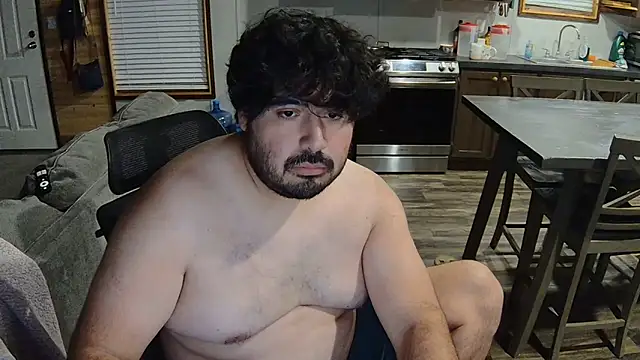 _Alv_n Webbikameraesitys