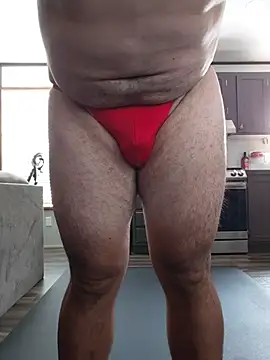 _Alv_ Show Webcam