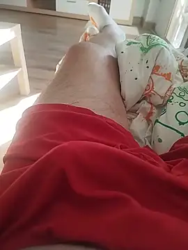 flamaupn Webbikameraesitys