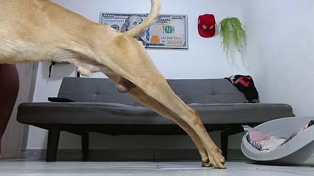 Master_foot_: απευθείας συνομιλία ΧΧΧ