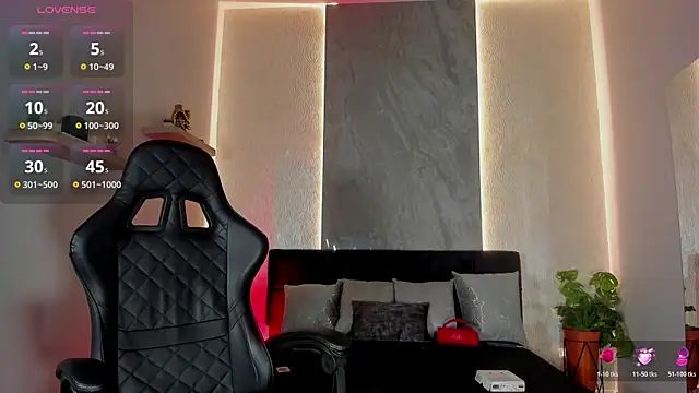 Brad_Summer Show Webcam