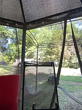 Show de webcam de mrlonge420