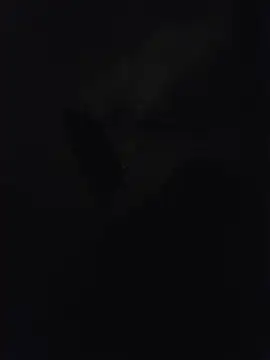 Show de webcam de misterBigDick19