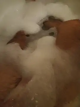 misterBigDick19 Webcam-Show
