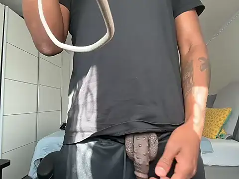 Show de Luckymsa na webcam