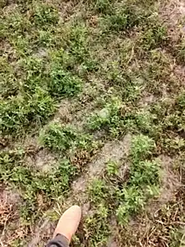 Webkamerová show xmanrawan2