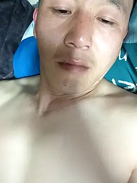 wadmma 网络视讯表演