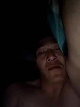 wadmma 网络视讯表演