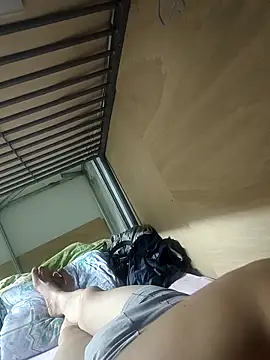 wadmma 网络视讯表演