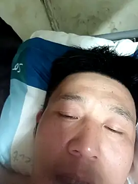 wadmma 网络视讯表演
