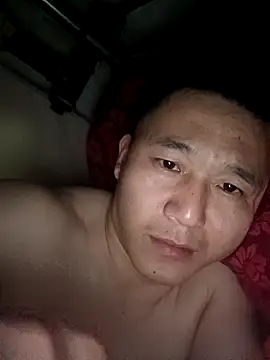 wadmma Show Webcam