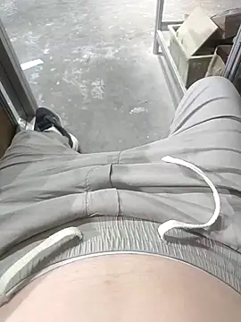 wadmma Show Webcam
