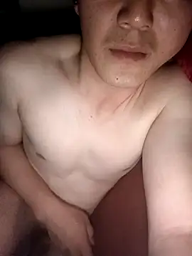 wadmma Show Webcam