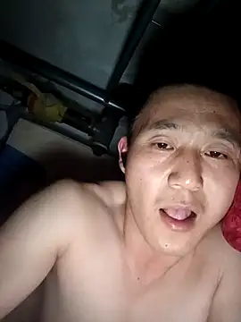 wadmma 网络视讯表演
