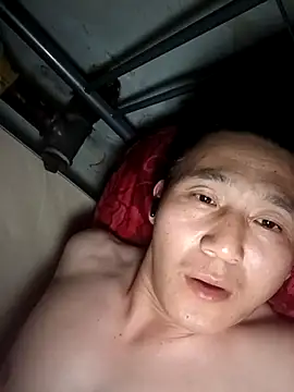wadmma 在線直播表演