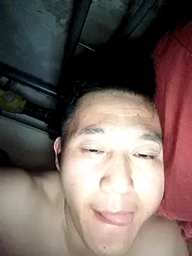 wadmma 在線直播表演