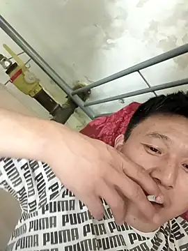 wadmma 网络视讯表演
