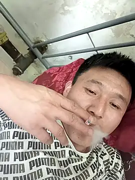 wadmma Webcam-Show
