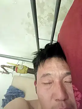 wadmma 网络视讯表演