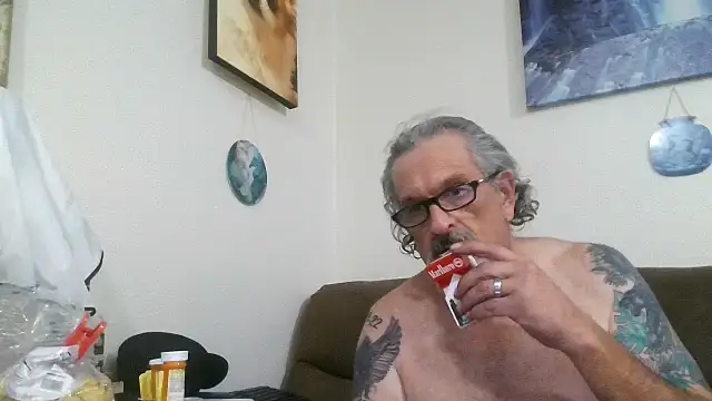 Harley1414Vickyn Webbikameraesitys