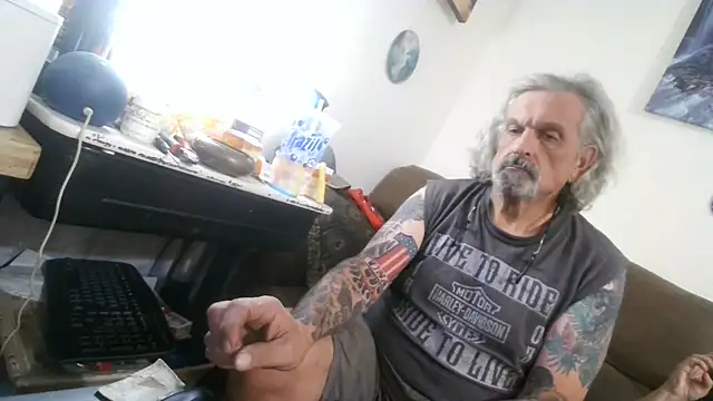 Harley1414Vickyn Webbikameraesitys