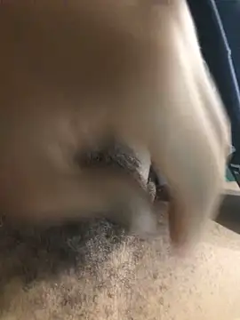 FuckBuddy0228 – webcam-show