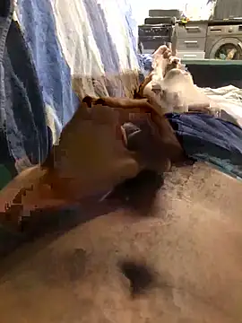 Show Webcam de FuckBuddy0228